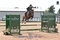 Kate Anderson and Goodwin Junior Soar in STX-UK Pony Foxhunter Second Round at Bogenraith Equestrian